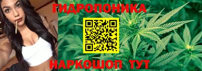 apvp Волжский