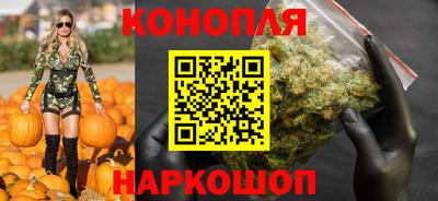 хмурый Гай