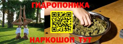 молекула духа Гатчина