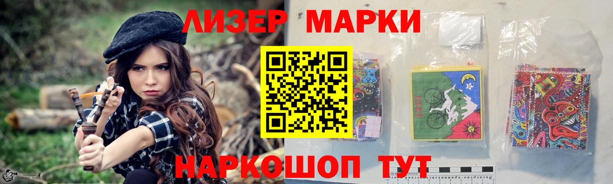 Псилоцибиновые грибы Большой Камень