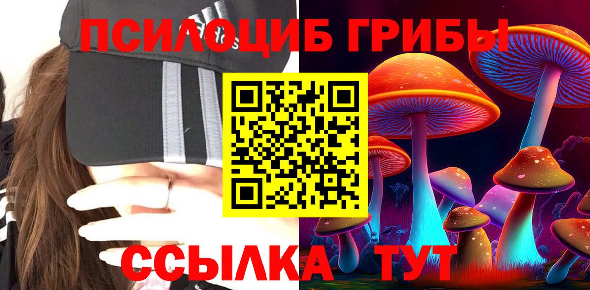 Псилоцибиновые грибы MAGIC MUSHROOMS Большой Камень