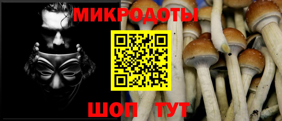 Большой Камень  Галлюциногенные грибы мухоморы  Вход с VPN  Псилоцибиновые грибы прущие грибы 
